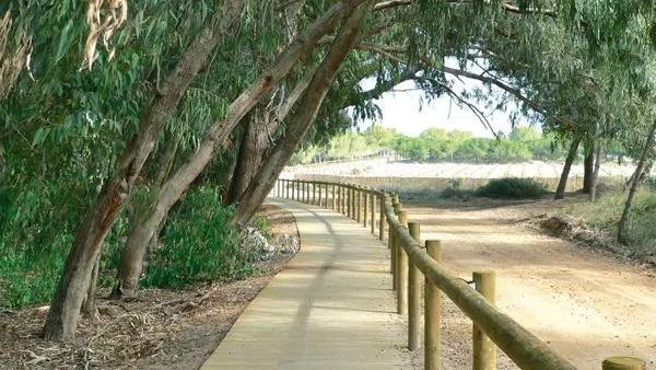 Parque