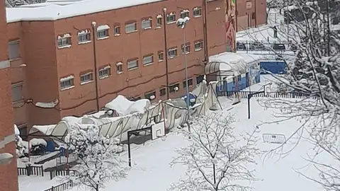 Daños de la borrasca Filomena en Alcalá de Henares Daños de la borrasca Filomena en Alcalá de Henares