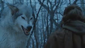 Así era realmente el lobo huargo de Juego de Tronos Así era realmente el lobo huargo de Juego de Tronos