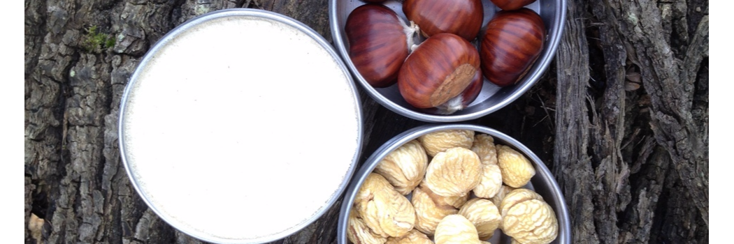 Crema de Castañas Crema de Castañas