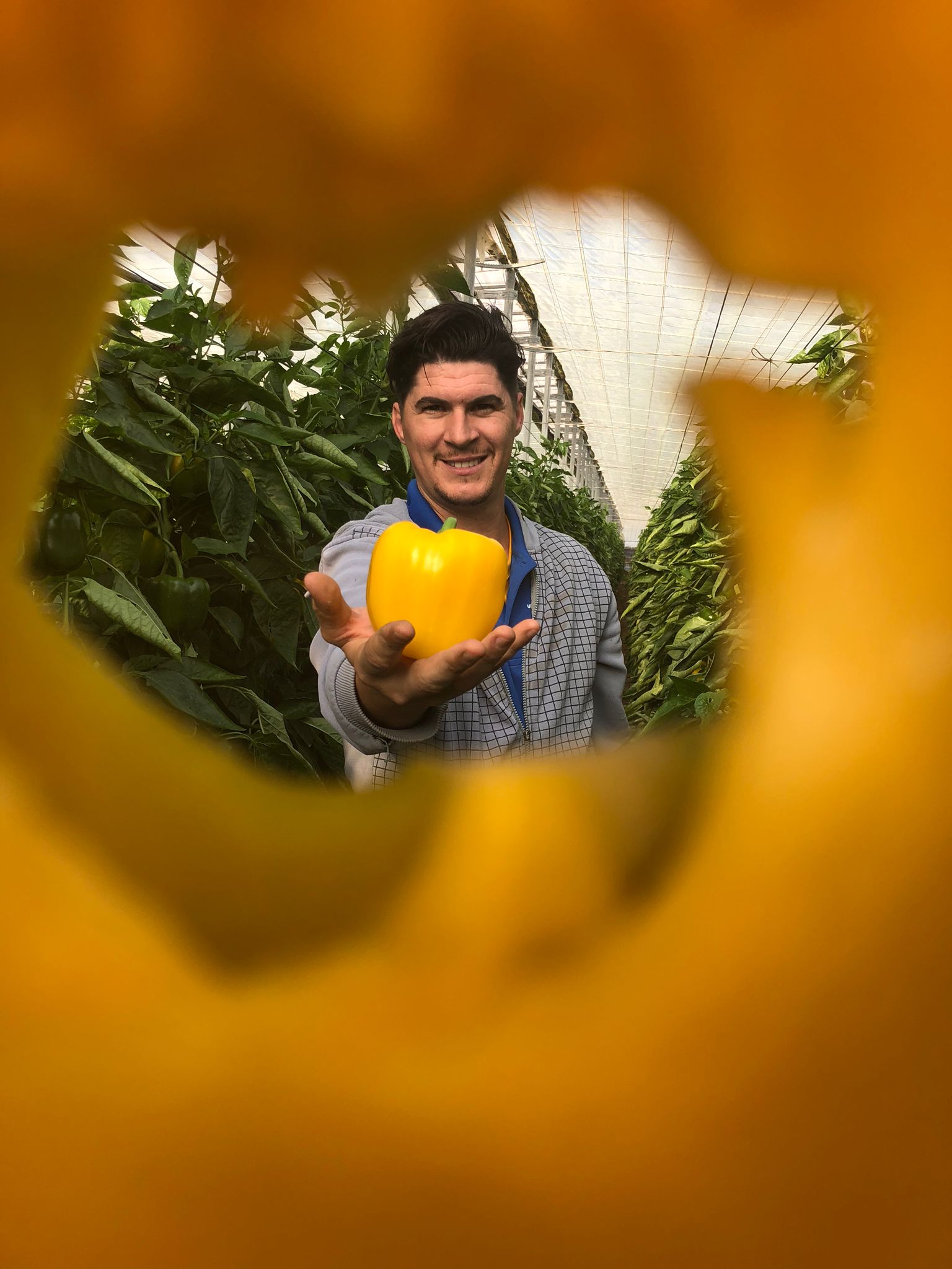 Joaquín López: " O el sector agrario se une o el campo desaparece. Abandono la Presidencia de UAI para, dando paso a otros, ver si se puede unir el sector. " Joaquín López: " O el sector agrario se une o el campo desaparece. Abandono la Presidencia de UAI para, dando paso a otros, ver si se puede unir el sector. "
