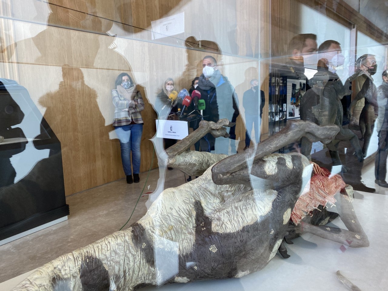El Museo de Paleontología de Cuenca se amplía con una nueva sala El Museo de Paleontología de Cuenca se amplía con una nueva sala