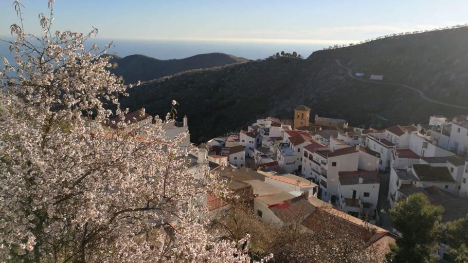 SORVILAN
