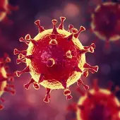 Siguen creciendo los datos de contagios Siguen creciendo los datos de contagios