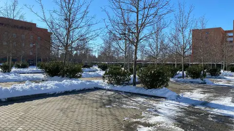 Campus Universidad de Alcalá Campus Universidad de Alcalá