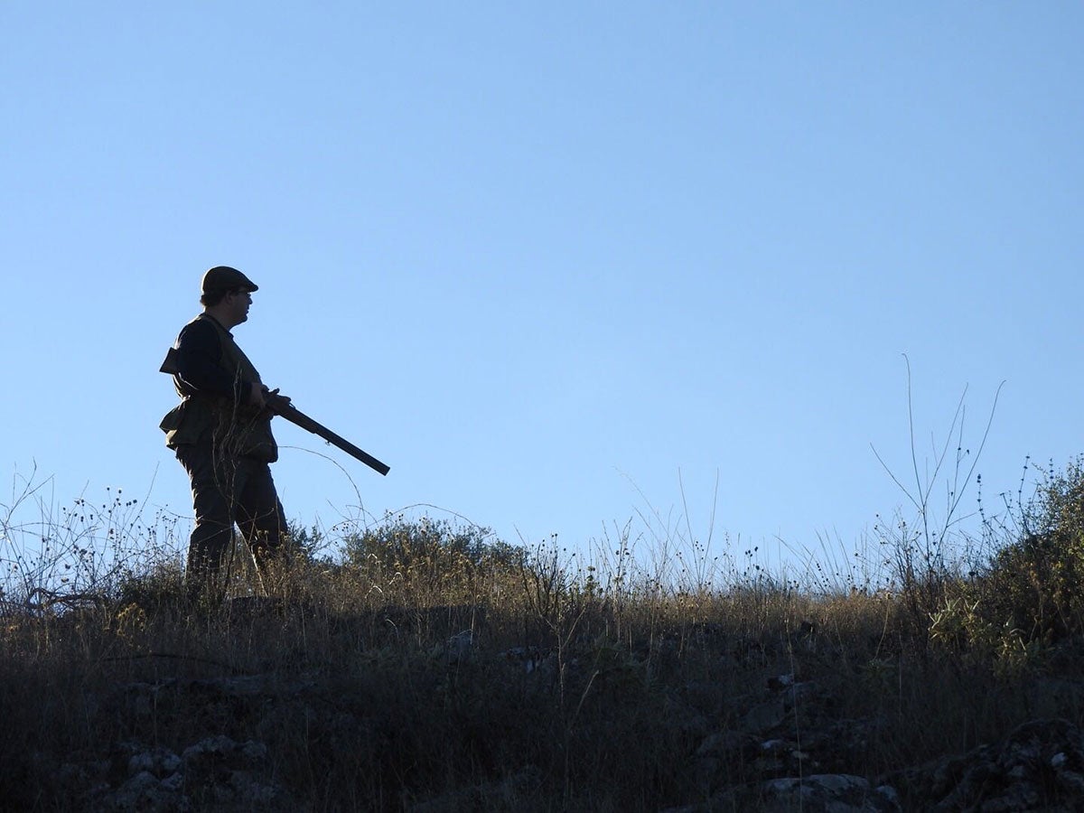 ¿Es verdad que se pueden cazar en Canarias gatos, perros y hurones asilvestrados? ¿Es verdad que se pueden cazar en Canarias gatos, perros y hurones asilvestrados?