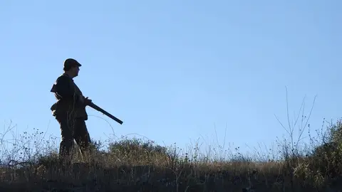 Cazador Permitida la actividad