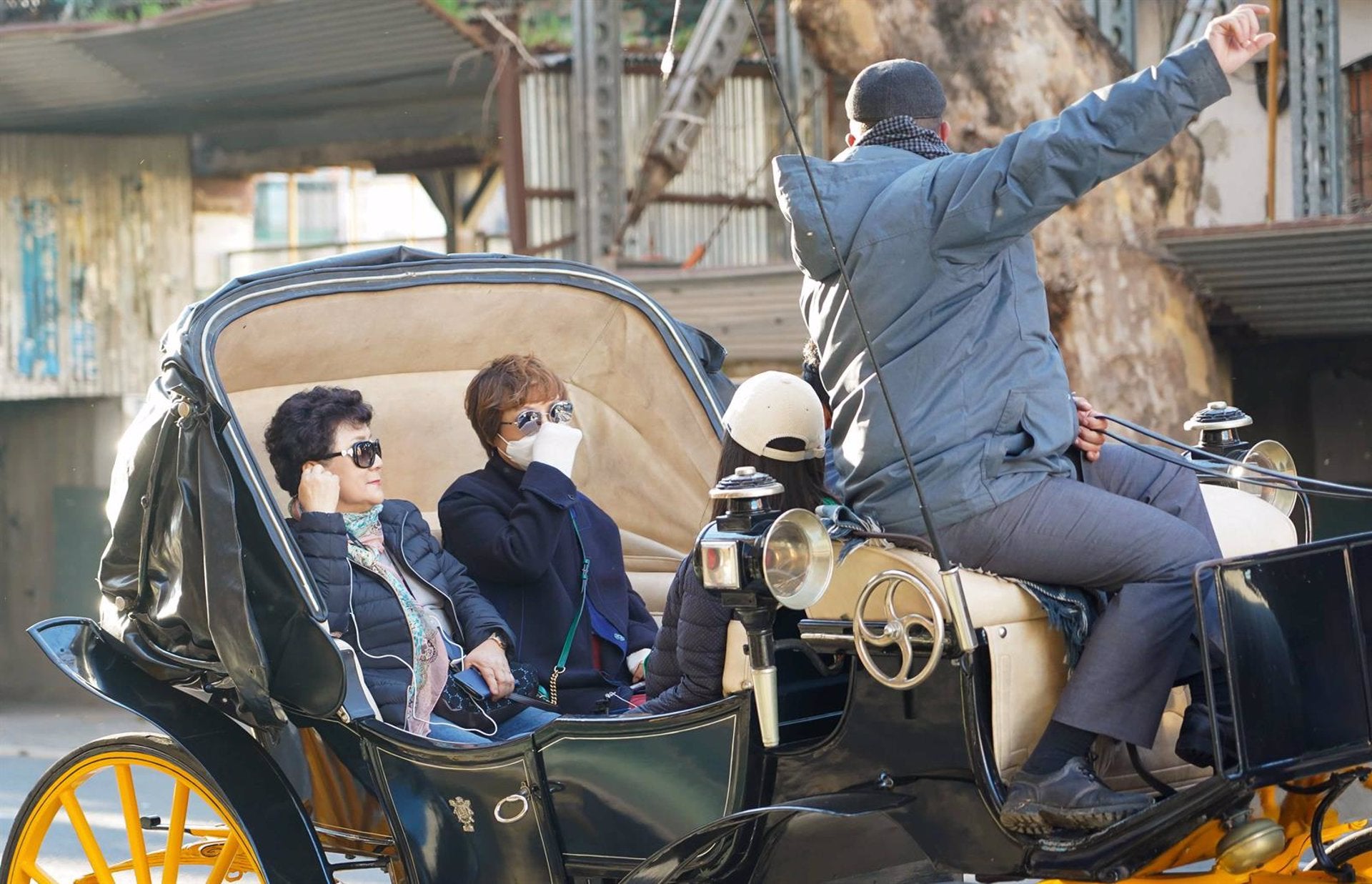 El Ayuntamiento de Málaga anuncia la eliminación de los coches de caballos El Ayuntamiento de Málaga anuncia la eliminación de los coches de caballos