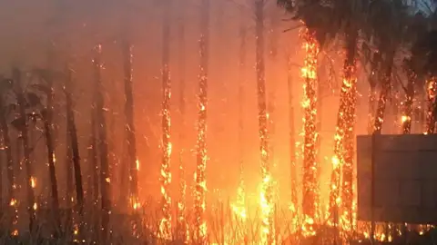 Un espectacular incendio, cuyas llamas y humo eran visibles a kilómetros, en Correntías Palmeral