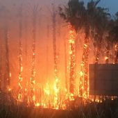 Un espectacular incendio, cuyas llamas y humo eran visibles a kilómetros, en Correntías 