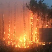 Un espectacular incendio, cuyas llamas y humo eran visibles a kilómetros, en Correntías Un espectacular incendio, cuyas llamas y humo eran visibles a kilómetros, en Correntías