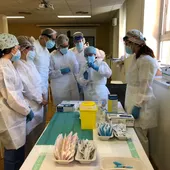 Se notifican 1.037 casos en las últimas 24 horas de Covid-19 confirmados. Se notifican 1.037 casos en las últimas 24 horas de Covid-19 confirmados.