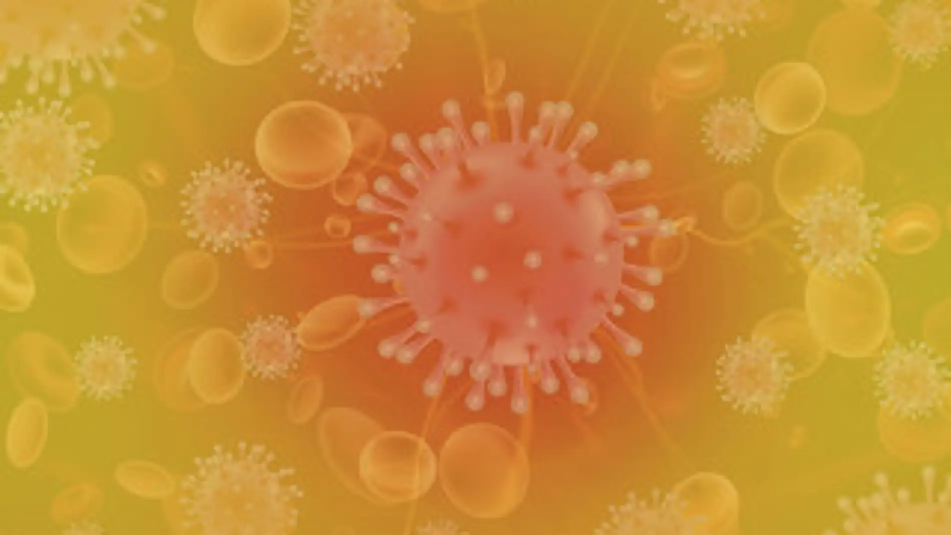 Nuevas restricciones coronavirus