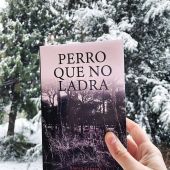 Perro que no ladra