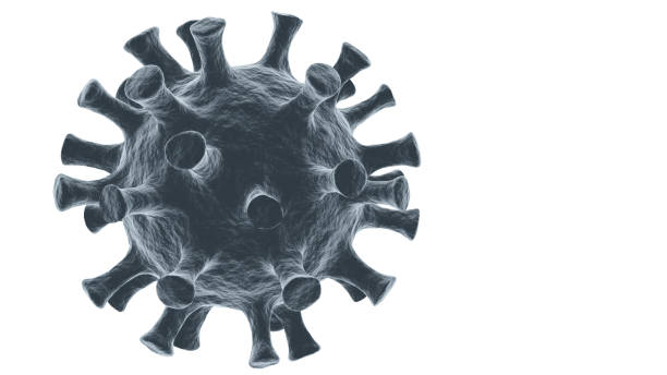Endurecimiento de las restricciones para frenar el avance del coronavirus Endurecimiento de las restricciones para frenar el avance del coronavirus