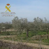 Guardia Civil Guardia Civil
