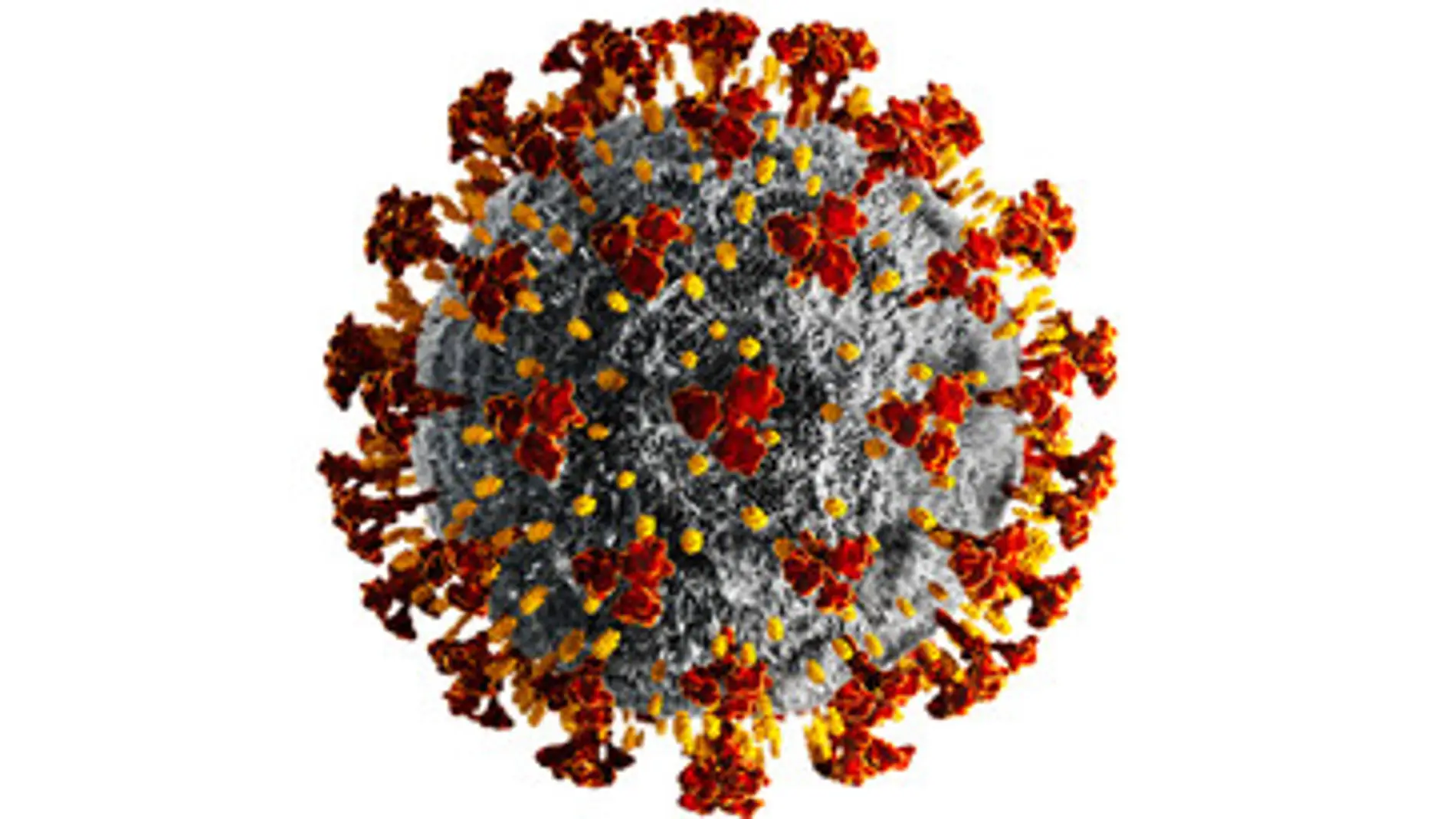 Se endurecen las restricciones para frenar el avance del coronavirus