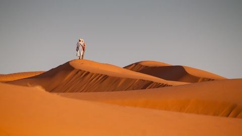 Desierto del S&aacute;hara