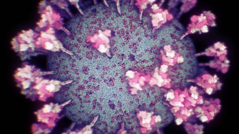 Imagen real del coronavirus