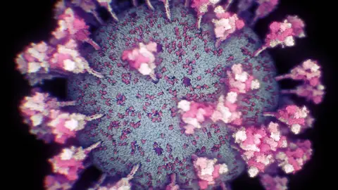 Así es el coronavirus Imagen real del coronavirus