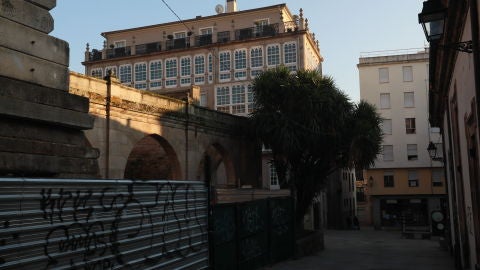 tala da Araucaria no Museu Arqueol&oacute;xico 