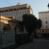 tala da Araucaria no Museu Arqueolóxico tala da Araucaria no Museu Arqueolóxico