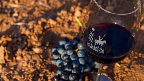 Uvas y vino D O Mancha