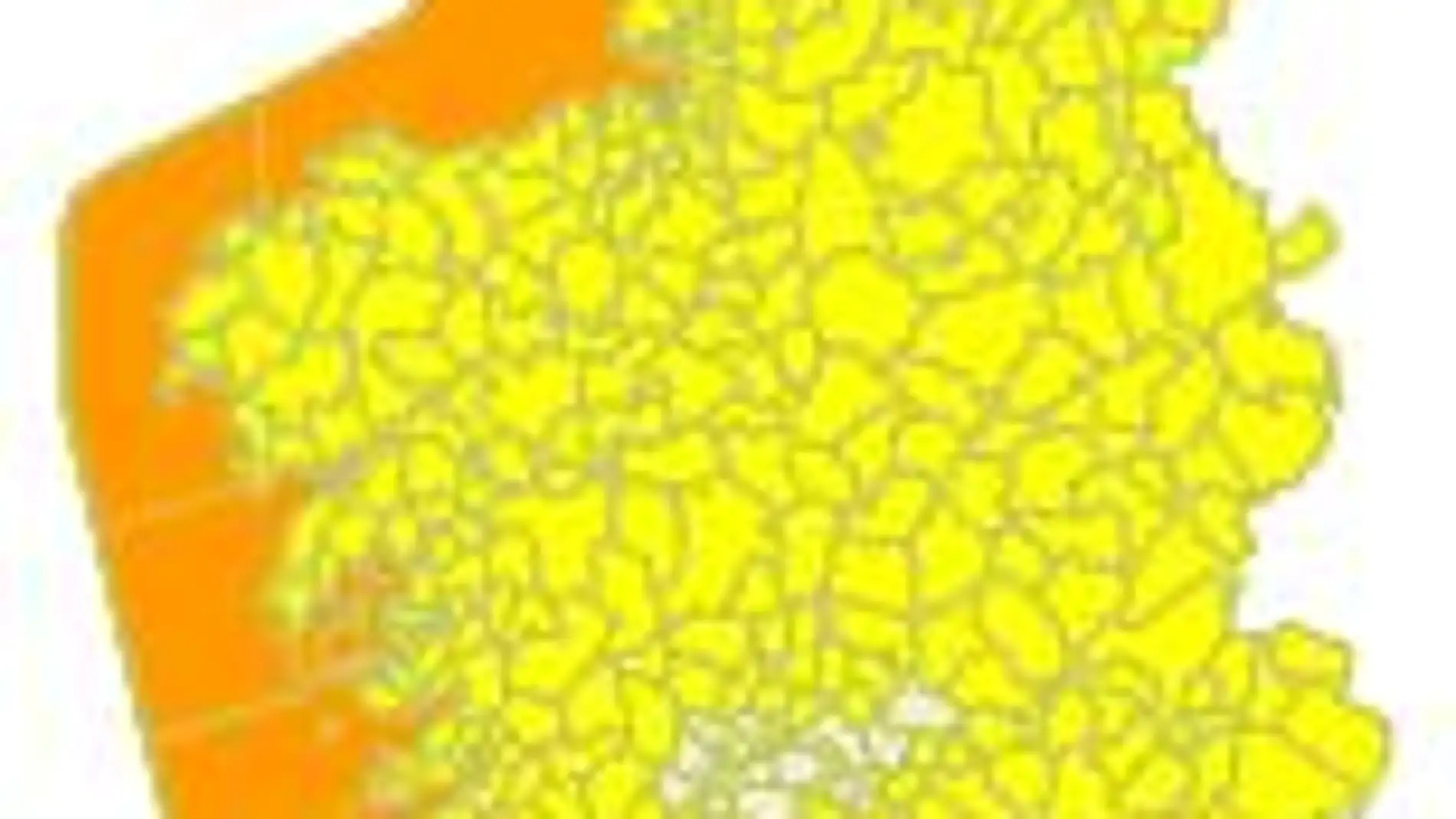 meteogalicia xoves 21 de xaneiro meteogalicia xoves 21 de xaneiro