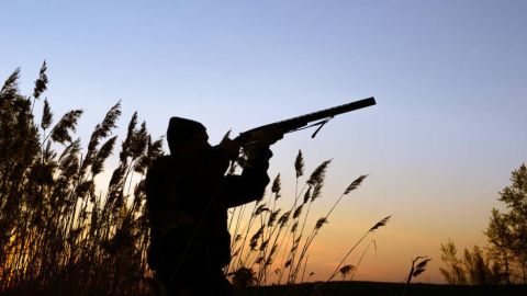 La última resolución de la Junta ha causado indignación entre el sector cinegético La última resolución de la Junta ha causado indignación entre el sector cinegético