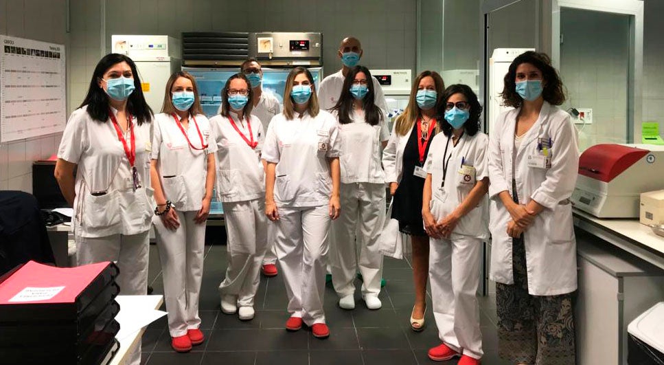 Los servicios de transfusiones dependientes del servicio de Hematología y Hemoterapia de los Hospitales Universitarios de Torrevieja y Vinalopó renuevan el certificado CAT Los servicios de transfusiones dependientes del servicio de Hematología y Hemoterapia de los Hospitales Universitarios de Torrevieja y Vinalopó renuevan el certificado CAT