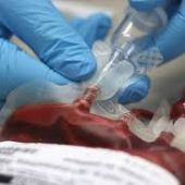 El Banco de Sangre de Extremadura obtendrá más plasma de positivos Covid para el tratamiento del coronavirus. 
