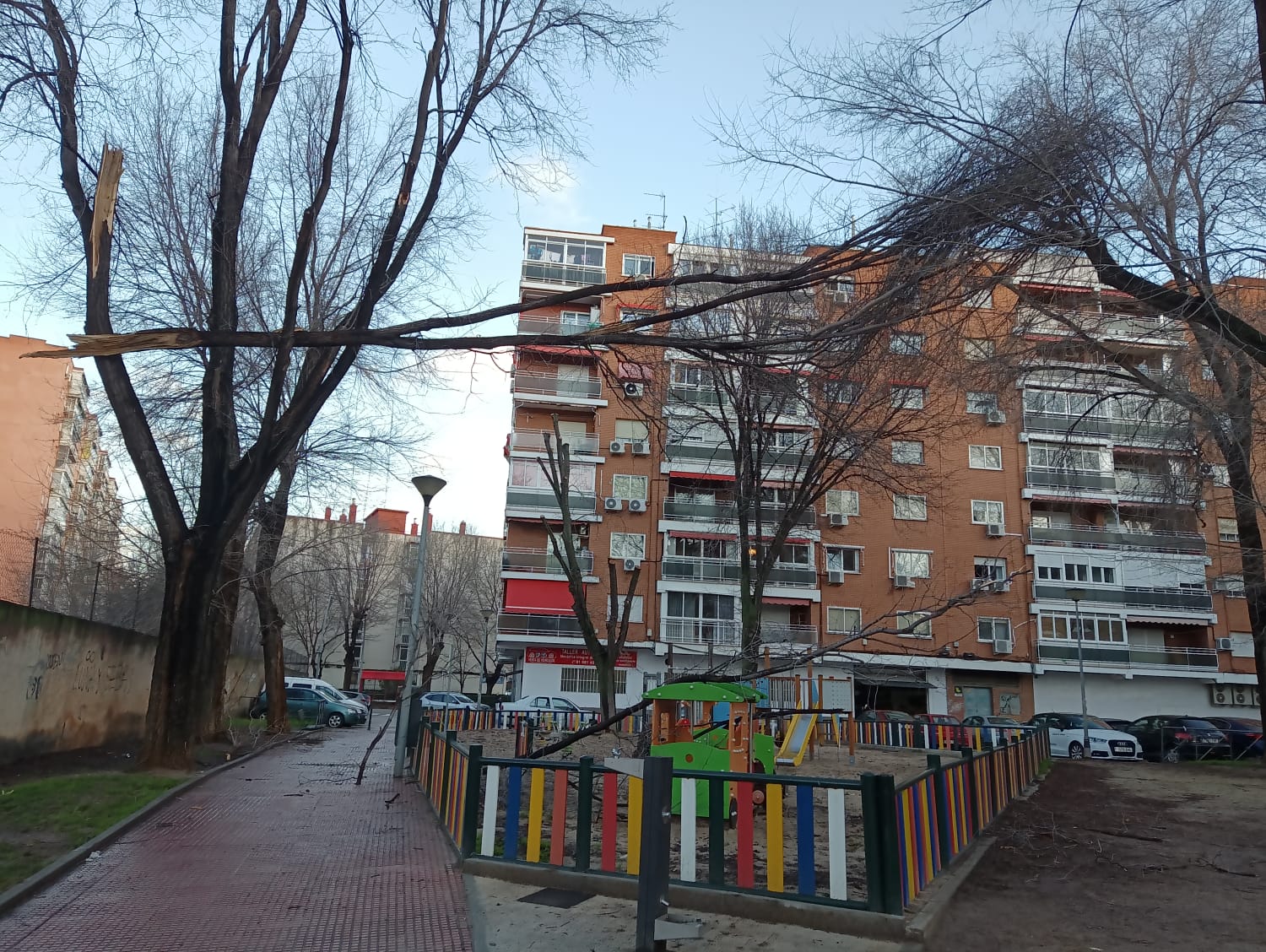 Más de uno Alcalá 22/01/2021 Más de uno Alcalá 22/01/2021