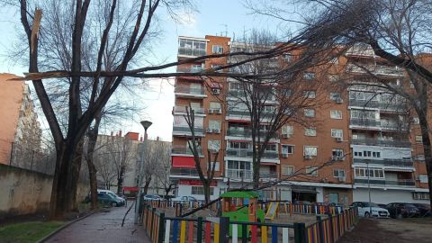 Fuertes rachas de viento destrozan &aacute;rboles en Alcal&aacute; de Henares