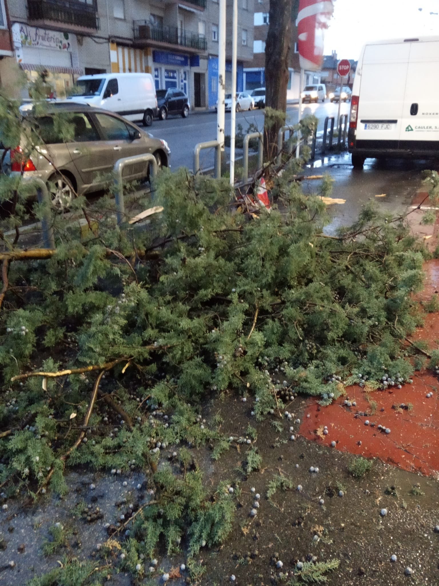 Viento: rachas de 120 km/h y varias incidencias en Cuenca Viento: rachas de 120 km/h y varias incidencias en Cuenca