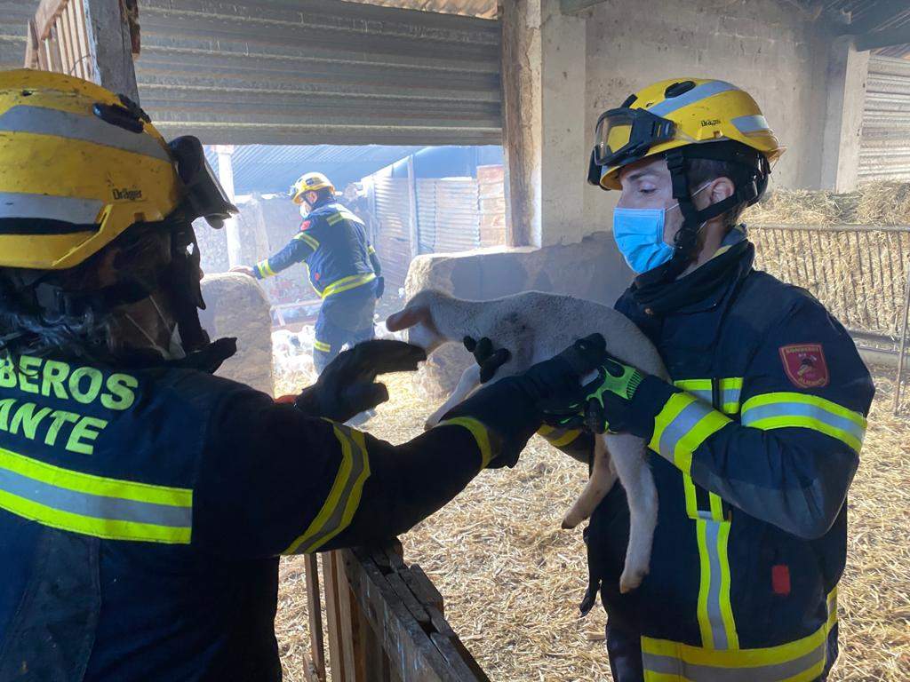 Los bomberos del SPEIS extinguen un incendio en una granja en Santa Faz Los bomberos del SPEIS extinguen un incendio en una granja en Santa Faz