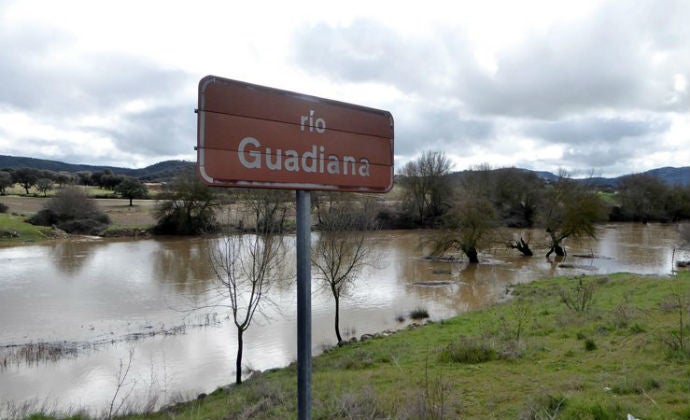 Los Tribunales dan de nuevo la razón a los regantes de la zona Los Tribunales dan de nuevo la razón a los regantes de la zona