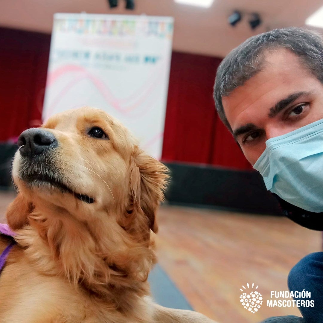 Alma, la golden retriever que favorece la seguridad vial de un adolescente con autismo Alma, la golden retriever que favorece la seguridad vial de un adolescente con autismo