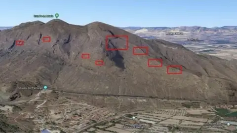 La Conselleria de Desarrollo Rural, Transición Ecológica y Emergencia Climática ha autorizado a la Concejalía de Medio Ambiente del Ayuntamiento de Orihuela a que proceda a la retirada con voluntarios del cactus de Arizona de la sierra de Orihuela. Sierra orihuela