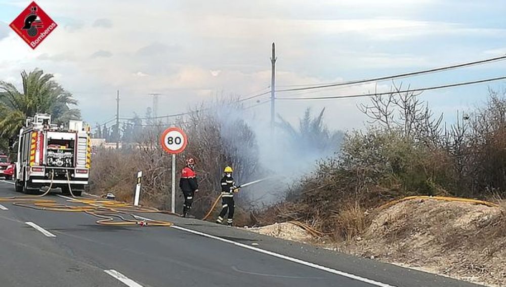 Los bomberos sofocan el incendio declarado en un vivero de palmeras de Albatera