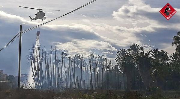 Incendios en una vivienda de Catral y en un vivero de palmeras de Albatera Incendios en una vivienda de Catral y en un vivero de palmeras de Albatera