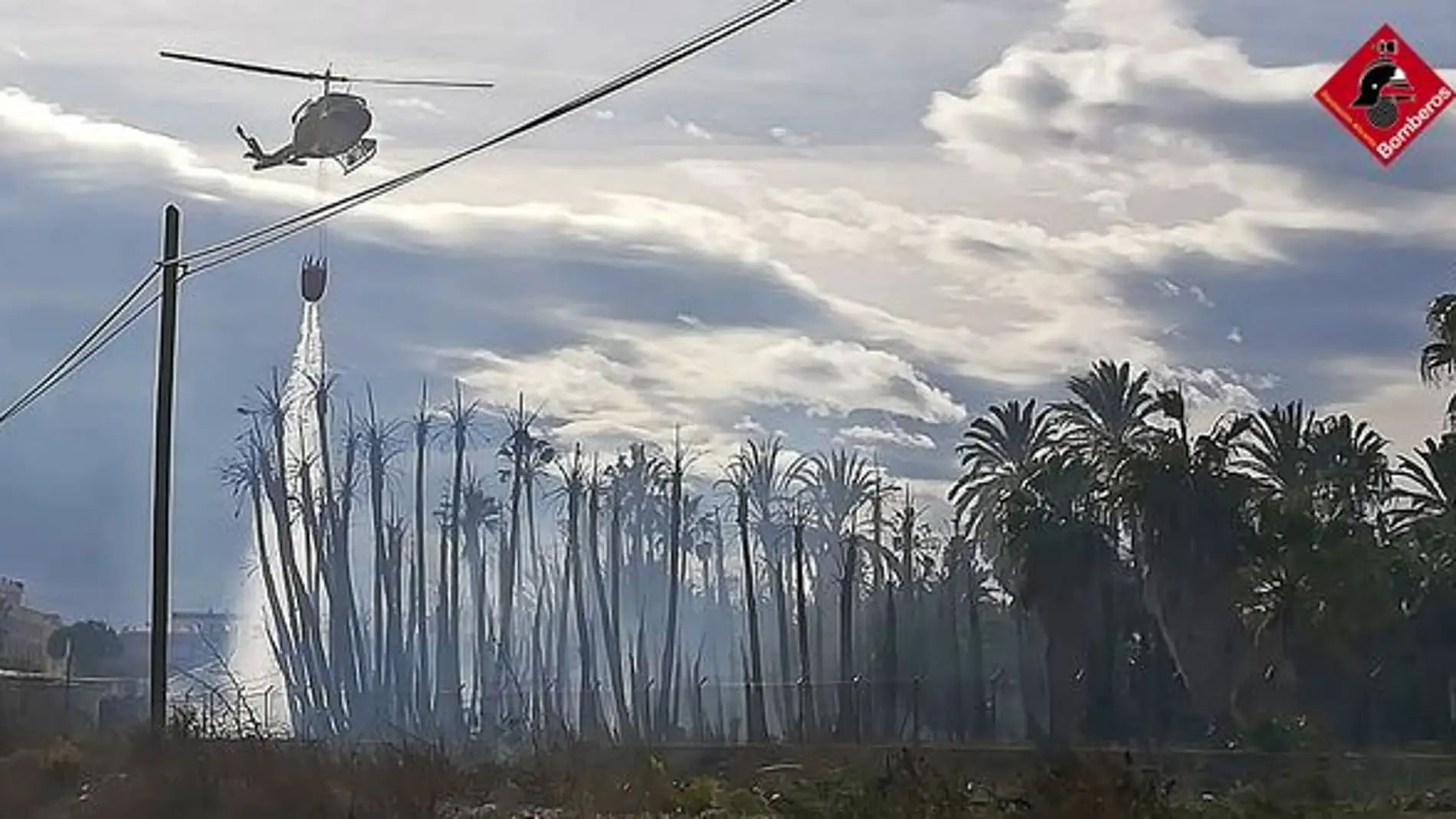 Incendios en una vivienda de Catral y en un vivero de palmeras de Albatera 