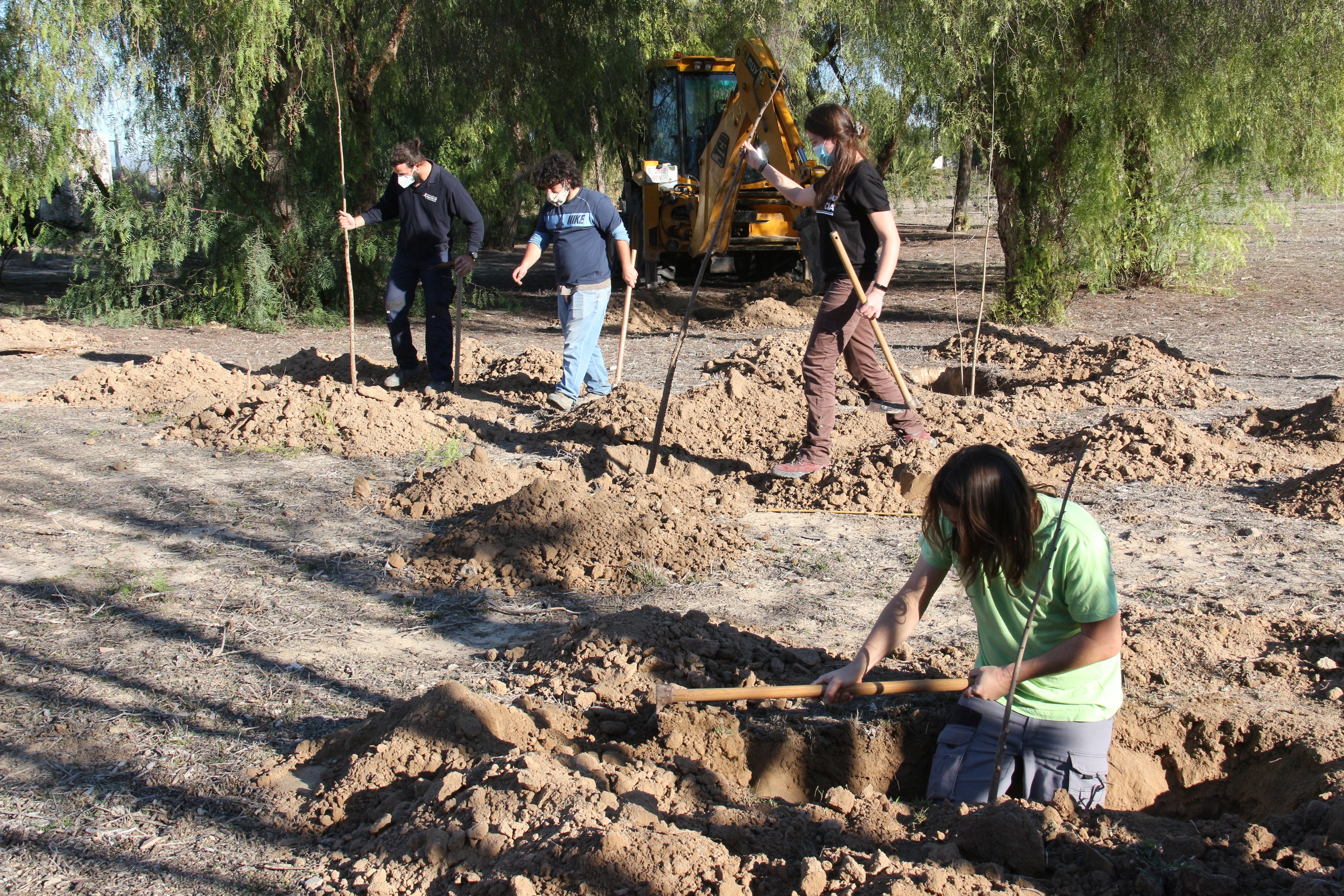 Más de 200 árboles están siendo plantados para aumentar la biodiversidad de la zona Más de 200 árboles están siendo plantados para aumentar la biodiversidad de la zona