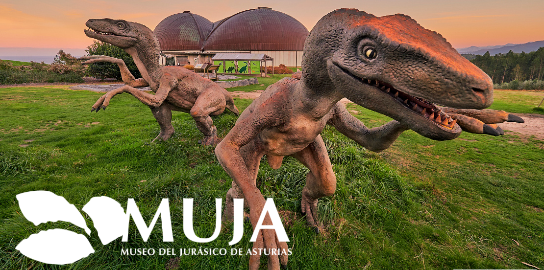El Muja organiza una visita guiada con motivo del Día Internacional de la Mujer y la Niña en la Ciencia El Muja organiza una visita guiada con motivo del Día Internacional de la Mujer y la Niña en la Ciencia