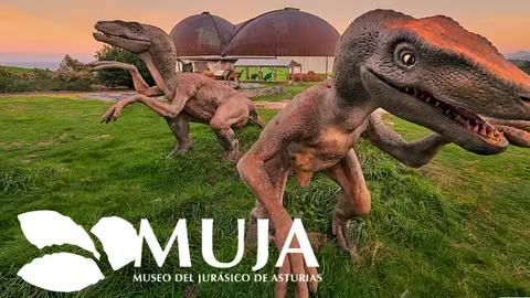 Museo del Jurásico Museo del Jurásico