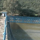 Pantano de Gasset Pantano de Gasset