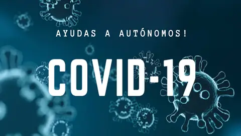 Los créditos que financiarán estas ayudas ascienden a 8.000.000,00 de euros ayudas