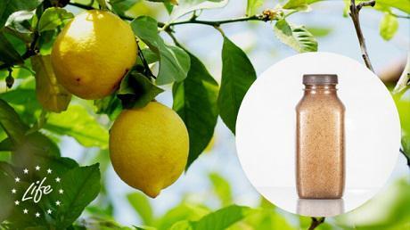 Investigadores aragoneses consiguen fabricar envases y cremas a partir de deshechos de cítricos Investigadores aragoneses consiguen fabricar envases y cremas a partir de deshechos de cítricos