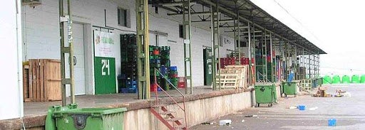 Sanidad multa al ayuntamiento de Castelló por el estado de Abastos Sanidad multa al ayuntamiento de Castelló por el estado de Abastos