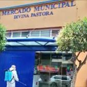 MERCADO DIVINA