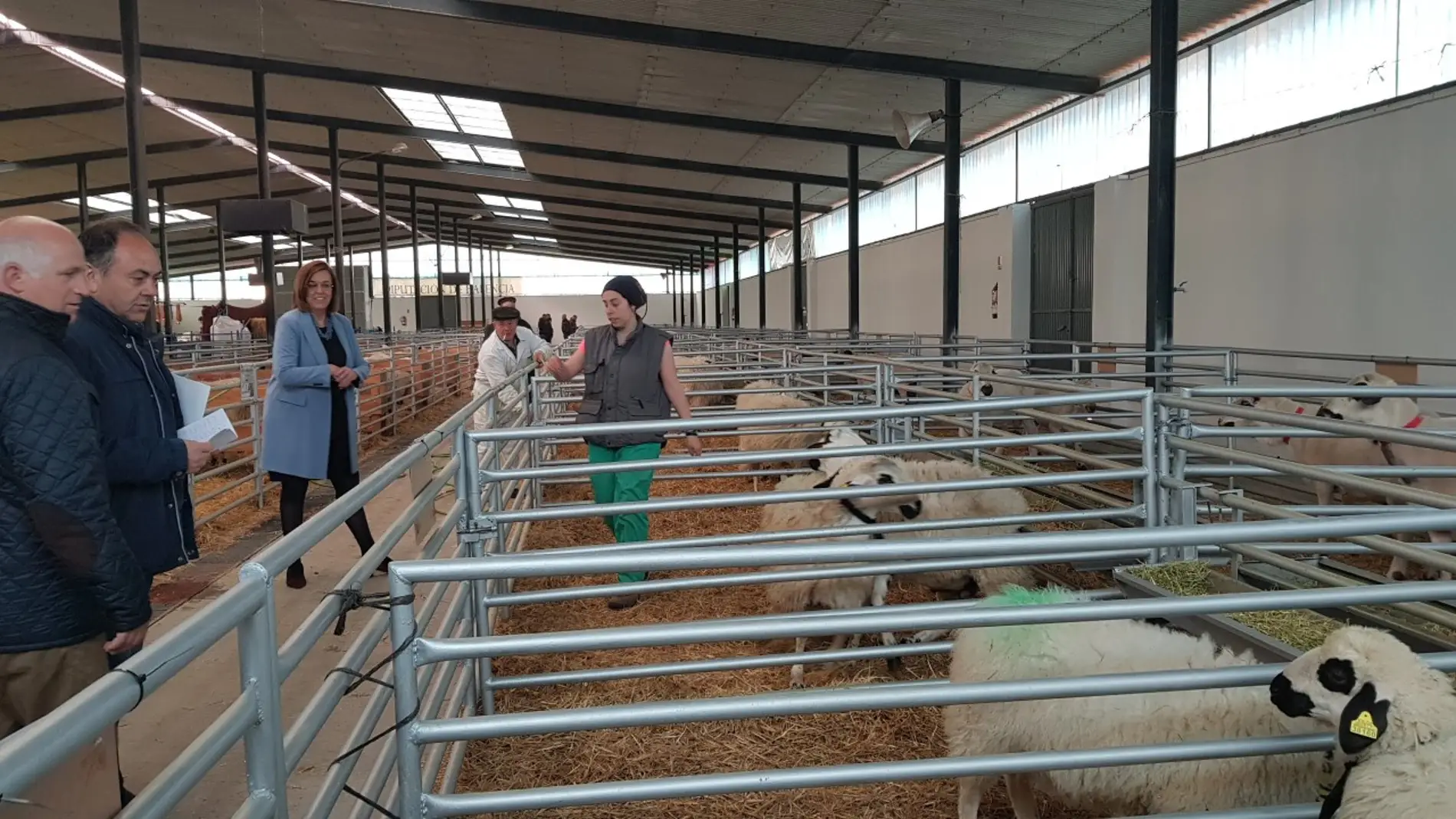 La Diputación renueva su compromiso con los ganaderos de ovino de raza churra a través de su colaboración con ANCHE